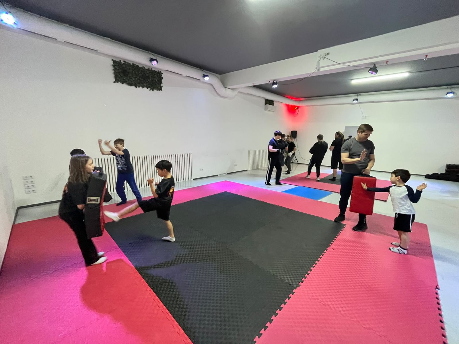 Kinder üben Tritte an Schlagpolstern, im Hintergrund Erwachsenentraining
